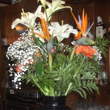 Hotel Breglia Plesio