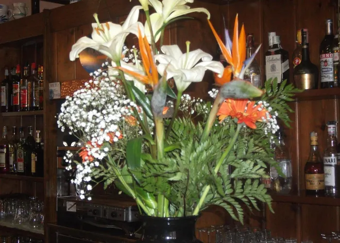 Breglia Hotel Plesio